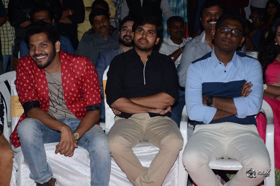 Nanna-Nenu-Naa-Boyfriends-Movie-Audio-Launch